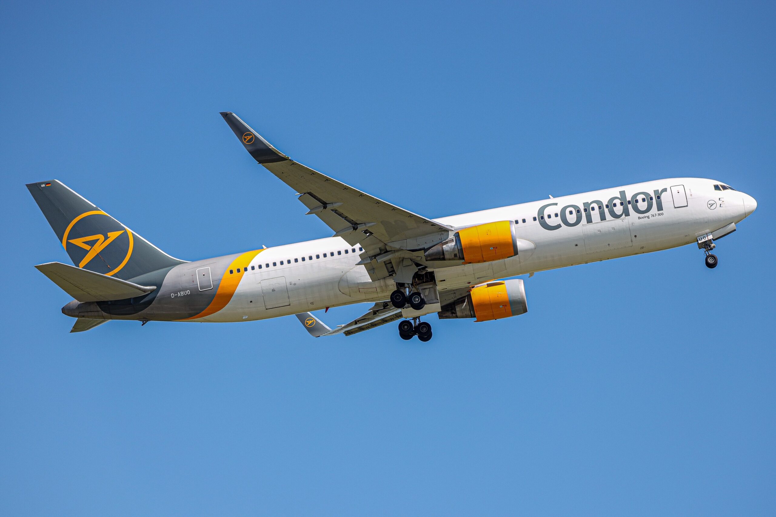 condor flight