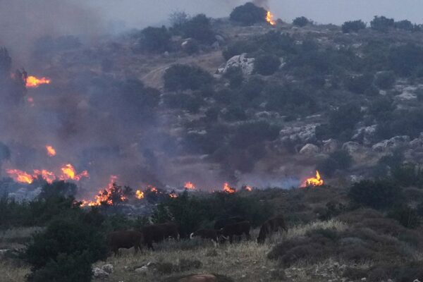 Israel cancels Independence Day celebrations as wildfires rage through country