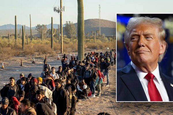 Trump’s border enforcement unleashes new weapon against illegal immigration